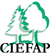 ciefap