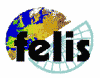 felis